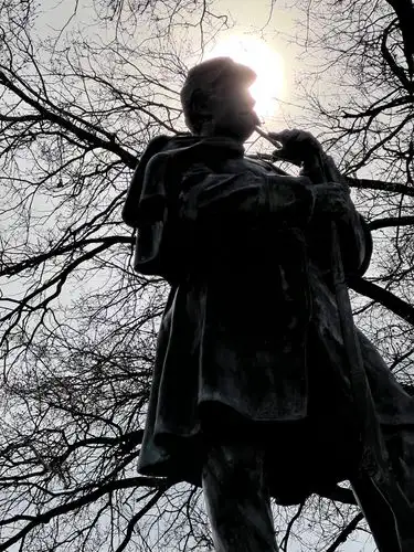 A dramatic silhouette against the sun's powerful glow.
